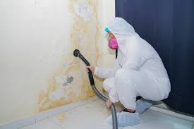 Best Mold Removal for HVAC Installations  in Clayton, CA